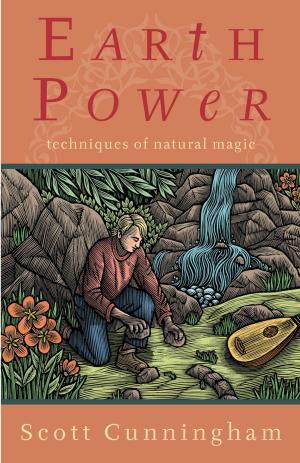 Cover of the book Earth Power by Bernie Ashman