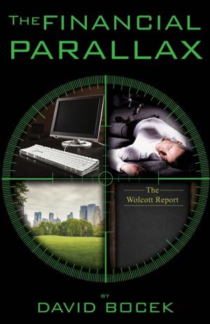 Cover of the book The Financial Parallax by Melissa Cassel