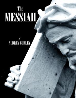 Cover of the book The Messiah by John Boland
