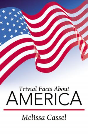 Cover of the book Trivial Facts About America by Jordan Weisinger