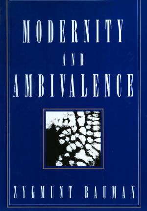Book cover of Modernity and Ambivalence