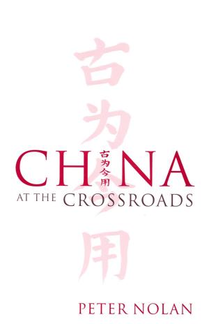 Cover of the book China at the Crossroads by Tim Brown, Persefoni Kyritsi, Elizabeth De Carvalho
