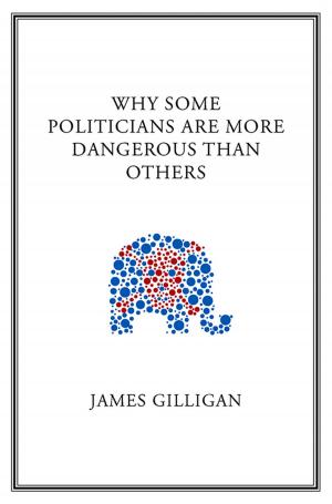 Cover of the book Why Some Politicians Are More Dangerous Than Others by Stephan Kaufer, Anthony Chemero