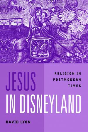 Book cover of Jesus in Disneyland