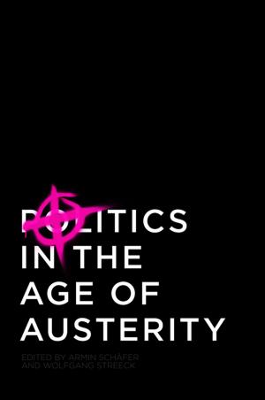 Cover of the book Politics in the Age of Austerity by 