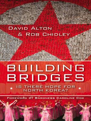 Cover of the book Building Bridges by Mike Endicott