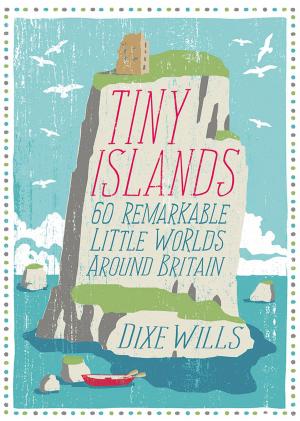 Cover of the book Tiny Islands by Rik Ty
