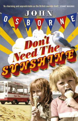 Cover of the book Don't Need The Sunshine by Christian Graugart