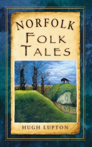 Cover of the book Norfolk Folk Tales by David Kinnaird