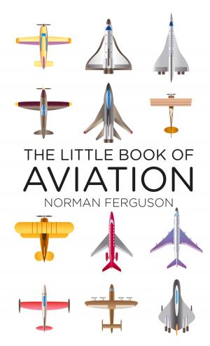 Cover of the book Little Book of Aviation by Thomas Chandler Haliburton
