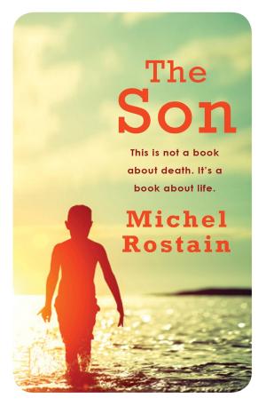 Book cover of The Son