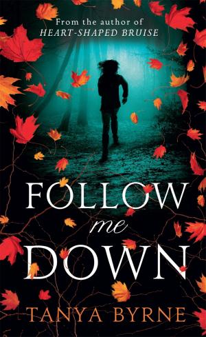 Cover of the book Follow Me Down by Jonny Wilkinson
