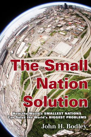 Cover of the book The Small Nation Solution by Norma Williams