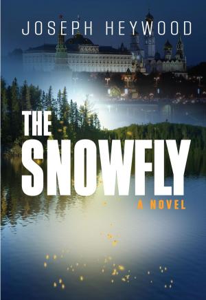 bigCover of the book Snowfly by 