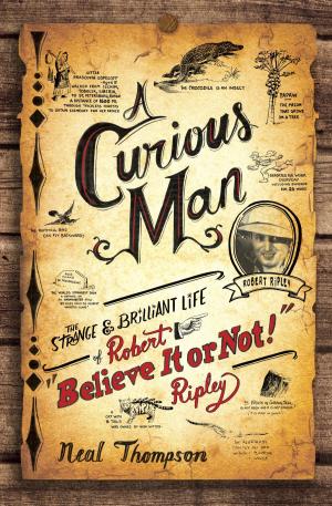 Cover of the book A Curious Man by Kristin Gleeson