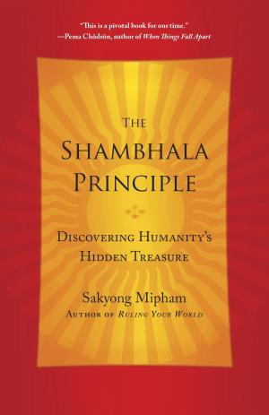 Book cover of The Shambhala Principle