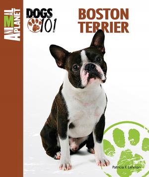 Cover of the book Boston Terrier by Michael R. Hellweg
