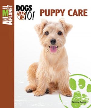 Cover of the book Puppy Care by Sheila Webster Boneham