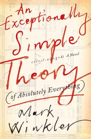 Cover of the book An Exceptionally Simple Theory (of Absolutey Everything) by Tshego Monaisa, Mokopi Shale, Cheryl Ntumy