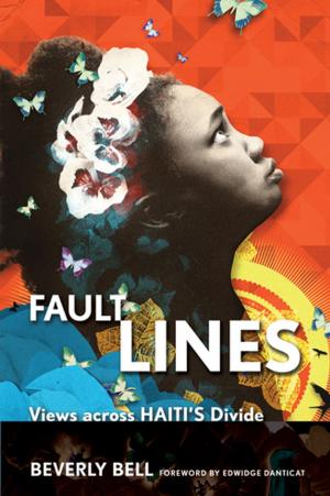 Cover of the book Fault Lines by James A. Chamberlain