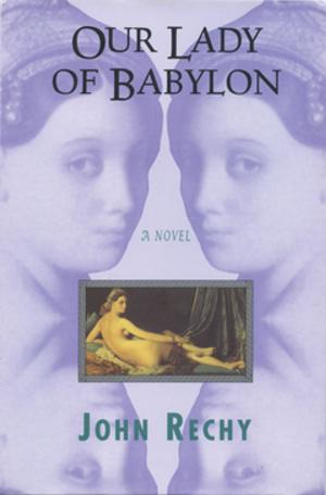 Cover of the book Our Lady of Babylon by Lachlan Smith