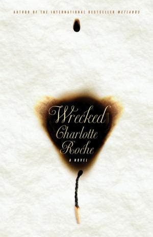 Cover of the book Wrecked by Stephen Batchelor
