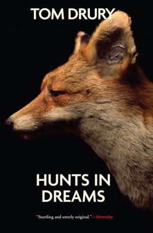 Cover of the book Hunts in Dreams by Caroline Pratt