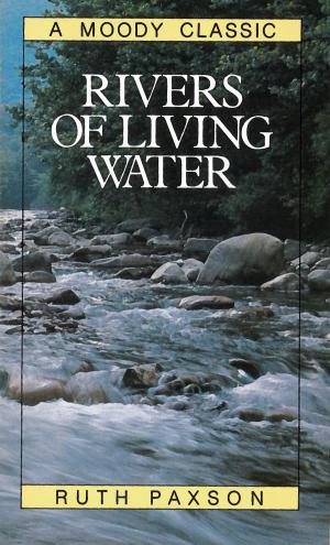 Cover of the book Rivers of Living Water by Jim Van Yperen