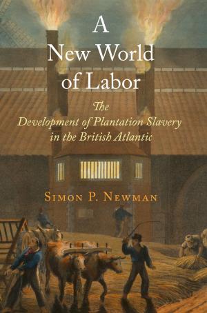 Cover of the book A New World of Labor by Catherine E. Kelly
