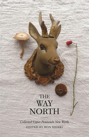 Cover of the book The Way North by Elizabeth R. Baer