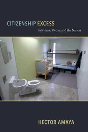 Cover of the book Citizenship Excess by 