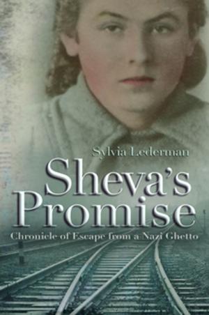 Cover of the book Sheva's Promise by David A. Jolliffe, Christian Z. Goering, James A. Anderson, Krista Jones Oldham