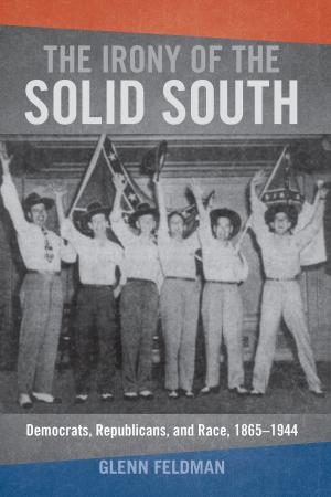 Cover of the book The Irony of the Solid South by Christina R. Foust, Amy Pason, Kate Zittlow Rogness, Raymie E. McKerrow, Daniel C. Brouwer, Mary-Louise Paulesc, Catherine Helen Palczewski, Kelsey Harr-Lagin, Karma R. Chávez, Bernadette Marie Calafell, Dawn Marie D. McIntosh, Kevin Michael DeLuca, Elizabeth Brunner, Catherine Chaput, Joshua S. Hanan