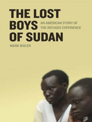 Book cover of The Lost Boys of Sudan