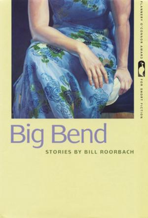 Book cover of Big Bend