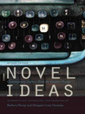 Cover of the book Novel Ideas by John Cullen Gruesser