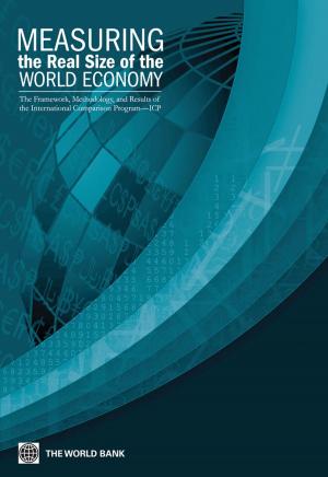 Book cover of Measuring the Real Size of the World Economy