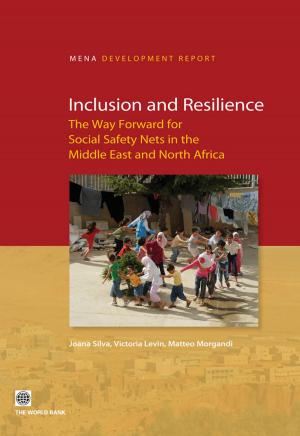 Cover of the book Inclusion and Resilience by Malcolm G. Anderson, Elizabeth Holcombe