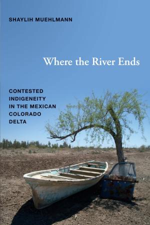 Cover of the book Where the River Ends by Devorah Heitner