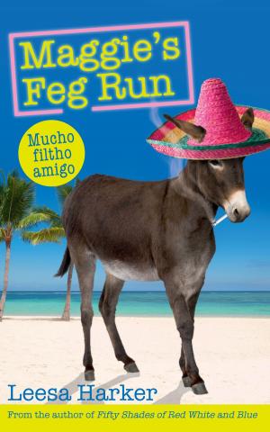 Cover of the book Maggie's Feg Run by Tony Macaulay