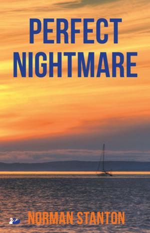 Cover of the book Perfect Nightmare by William Coles