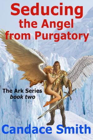 Book cover of Seducing the Angel from Purgatory