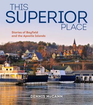 Book cover of This Superior Place