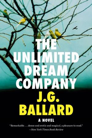 Cover of the book The Unlimited Dream Company: A Novel by Alan Ryan