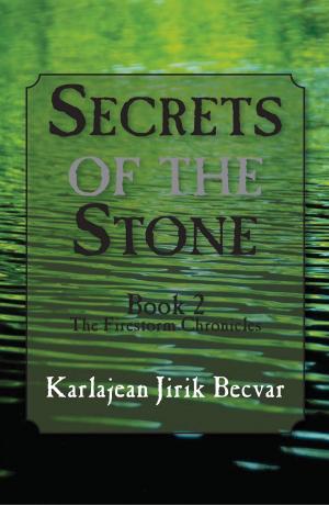Cover of the book Secrets of the Stone by Mari Ringness