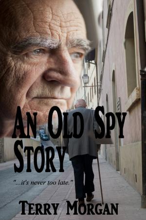 bigCover of the book An Old Spy Story by 