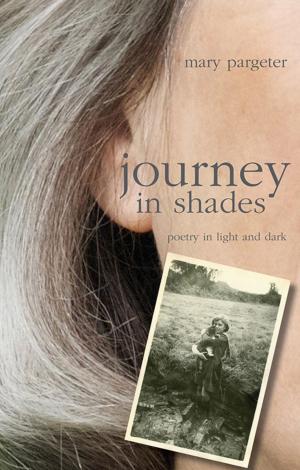Cover of the book journey in shades by Azade Harvey, Ghislain Harvey