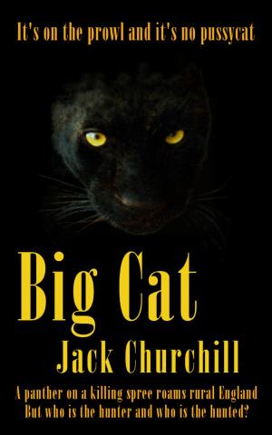 Cover of the book Big Cat by Christopher Mitchell
