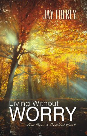 Cover of the book Living Without Worry by Erika Newton