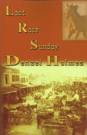 Book cover of Last Race Sunday